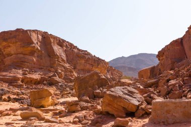 Çok renkli kumtaşı arka plan çöl kayalar. Renkli Kanyon, Güney Sina (Mısır) yarımadasında bir kaya oluşumudur.. 