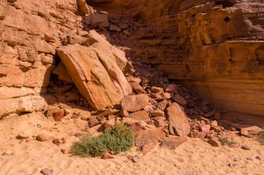 Çok renkli kumtaşı arka plan çöl kayalar. Renkli Kanyon, Güney Sina (Mısır) yarımadasında bir kaya oluşumudur.. 