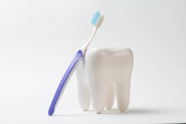 Beyaz arkaplanda diş fırçası olan diş fırçası