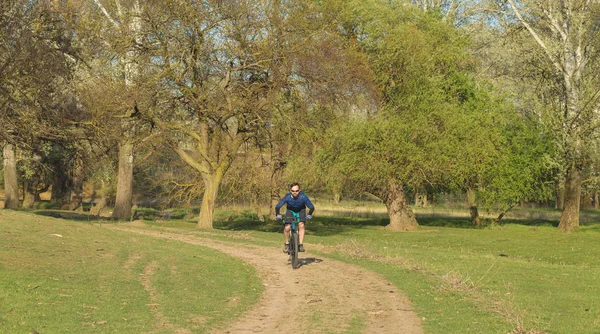 Cyclist in shorts and jersey on a modern carbon hardtail bike with an air suspension fork standing on a cliff against the background of fresh green summer forest