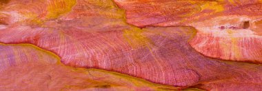 Çok renkli kumtaşı arka plan çöl kayalar. Renkli Kanyon, Güney Sina (Mısır) yarımadasında bir kaya oluşumudur.. 