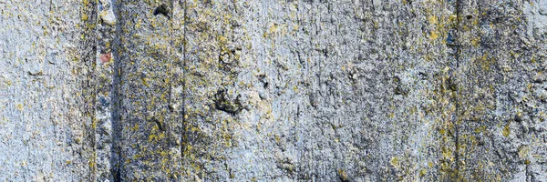 Asbestos slate texture concrete covered with lichen and moss, industry material natural cement