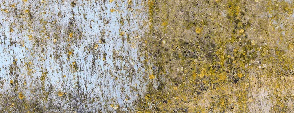 Asbest Skiffer Textur Betong Täckt Med Lavar Och Mossa Industri — Stockfoto