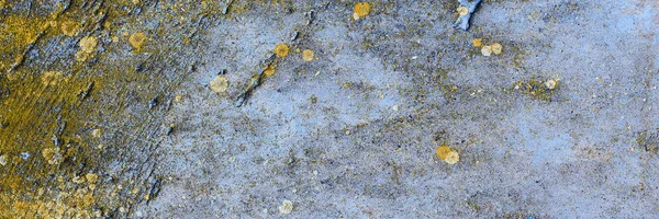 슬레이트 텍스처 콘크리트 이끼와 시멘트로 — 스톡 사진