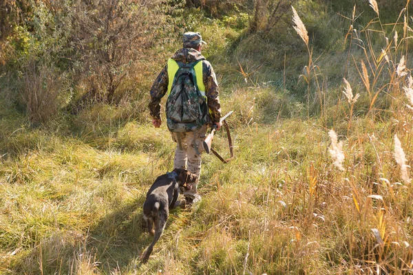 狩猎期 秋季开放 在秋天的森林里 一个拿着猎枪 穿着猎服的猎人正在寻找奖品 — 图库照片