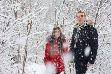 Adam ve kız kış ormanlarında dinleniyorlar. Karda karı-koca. Genç bir çift kış parkında yürüyor.