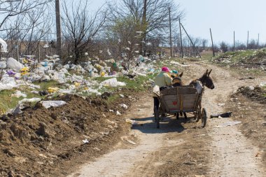 Çöp arabasının yanında.