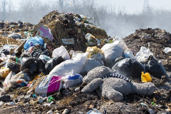 Dangerous Garbage Pollution Nature — Stok fotoğraf