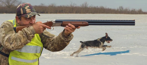 Hunter with a gun and a dog go on the first snow in the steppe, Hunting pheasant in a reflective vest