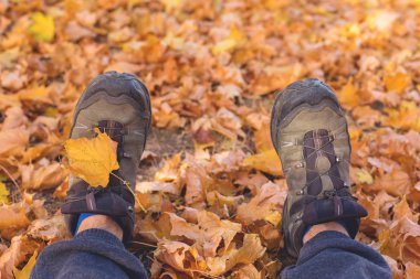 Parkta sonbahar botları