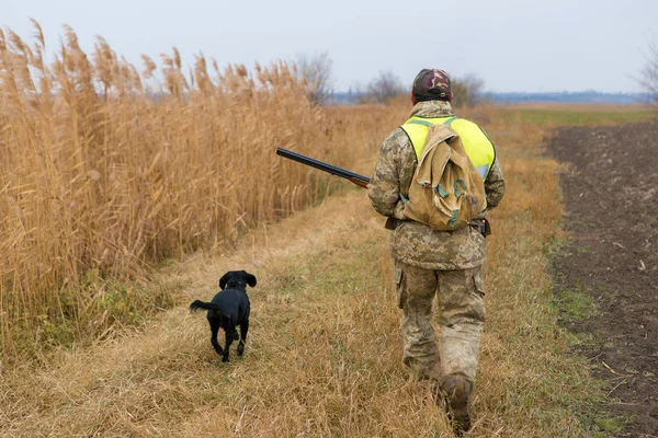 Hunter Med Pistol Och Hund Går Den Första Snön Stäppen — Stockfoto