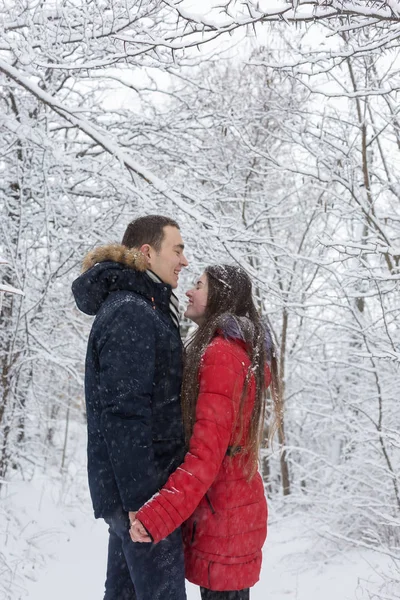 Jovem Casal Apaixonado Parque Inverno — Fotografia de Stock