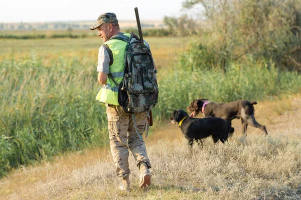 Av dönemi, sonbahar sezonu açık. Sonbahar ormanında elinde silah olan bir avcı, ganimet arayışında..