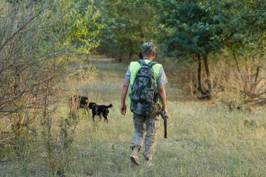 Av dönemi, sonbahar sezonu açıldı. Avcı, elinde silahla sonbahar ormanında av elbisesi içinde ganimet arıyor. Bir adam silahlı ve av köpeği avlıyor..