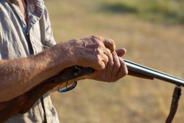 Av dönemi, sonbahar sezonu açıldı. Avcı, elinde silahla sonbahar ormanında av elbisesi içinde ganimet arıyor. Bir adam silahlı ve av köpeği avlıyor..