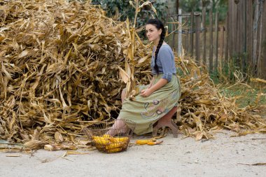 Mısırlı seksi bir kızın klasik portresi, kırsal kesim kavramı. Yatay tonlu pankart.