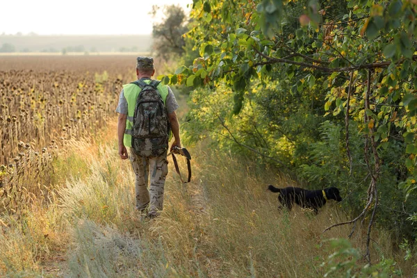Av dönemi, sonbahar sezonu açıldı. Avcı elinde silahla sonbahar ormanında av elbisesi içinde ganimet arıyor..