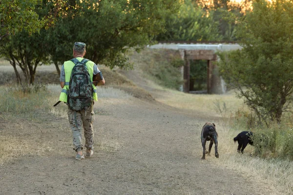 Av dönemi, sonbahar sezonu açıldı. Avcı elinde silahla sonbahar ormanında av elbisesi içinde ganimet arıyor..