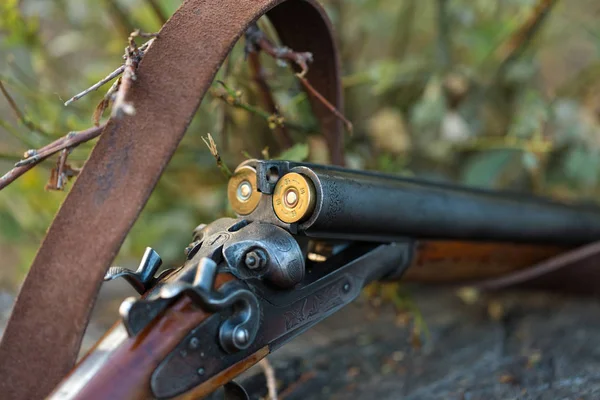 Vieja Pistola Metal Oxidado Parque — Foto de Stock