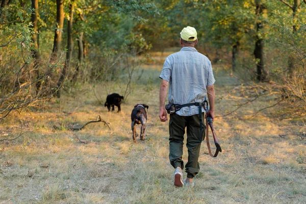 狩猎期 秋季开放 在秋天的森林里 一个拿着猎枪 穿着猎服的猎人正在寻找奖品 — 图库照片