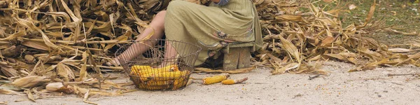 Tiro Perto Agricultor Num Campo — Fotografia de Stock