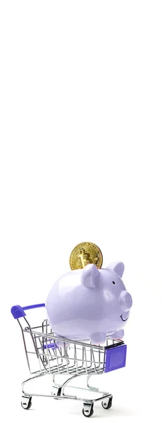 Piggy Bank Crypto Coin Shopping Cart White Background — Foto Stock