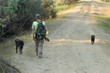 Av dönemi, sonbahar sezonu açıldı. Avcı elinde silahla sonbahar ormanında av elbisesi içinde ganimet arıyor..