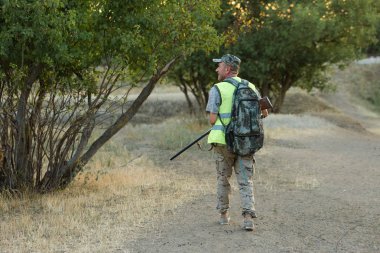 Av dönemi, sonbahar sezonu açıldı. Avcı elinde silahla sonbahar ormanında av elbisesi içinde ganimet arıyor..