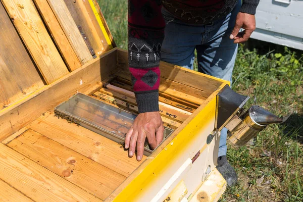 蜂の上の農家はワックスのハニカムでフレームを保持しています 蜂蜜の収集のための計画的な準備 — ストック写真