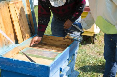 Arı kovanındaki bir çiftçi balmumu petekleriyle çerçeveleri tutar. Bal koleksiyonu için planlanmış hazırlık.