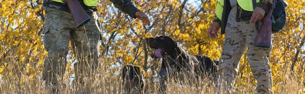 톱니바퀴와 가마니 사냥꾼 반사용 조끼를 비둘기 — 스톡 사진