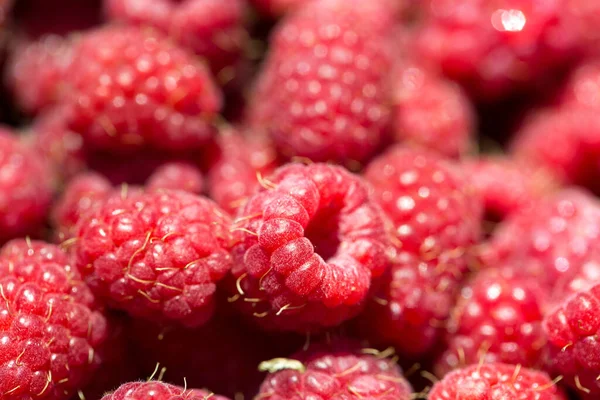 Macro Photo Fresh Raspberries Background Patern Sweet Red Raspberries — Stock Photo, Image