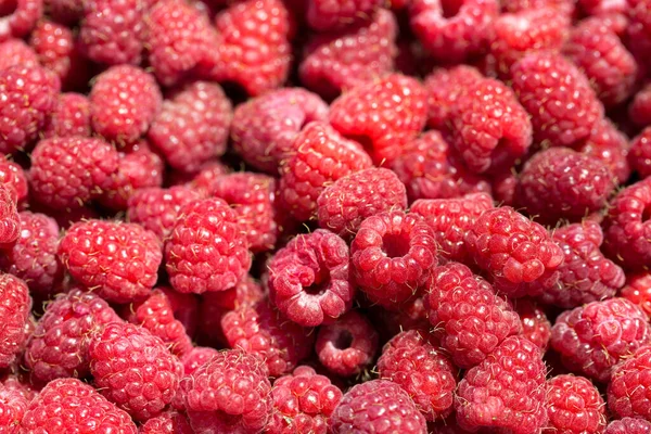 Macro Foto Frambuesas Frescas Patern Fondo Frambuesas Rojas Dulces — Foto de Stock