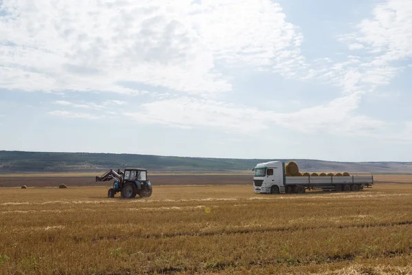 Egy Traktor Szalmabálákat Tesz Egy Gép Pótkocsijába Egy Kaszált Búzamezőn — Stock Fotó