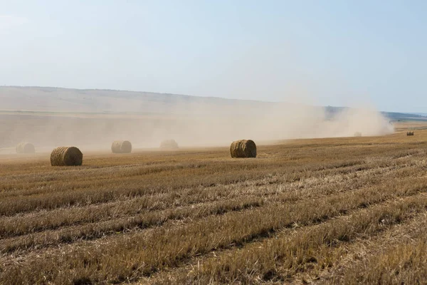 Field Harvest Morning Large Bales Hay Wheat Field — Stock Photo, Image