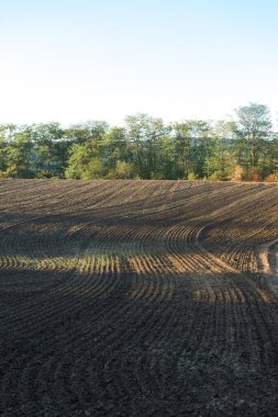 Kahverengi topraklı bir tarlanın üzerinde gün batımı. Güzel sonbahar manzarası.