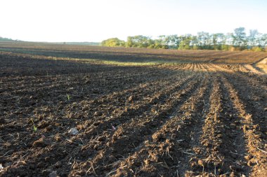 Kahverengi topraklı bir tarlanın üzerinde gün batımı. Güzel sonbahar manzarası.