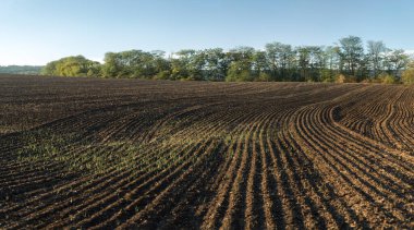 Kahverengi topraklı bir tarlanın üzerinde gün batımı. Güzel sonbahar manzarası.