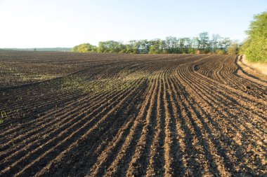 Kahverengi topraklı bir tarlanın üzerinde gün batımı. Güzel sonbahar manzarası.