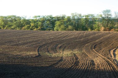 Kahverengi topraklı bir tarlanın üzerinde gün batımı. Güzel sonbahar manzarası.