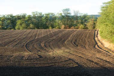 Kahverengi topraklı bir tarlanın üzerinde gün batımı. Güzel sonbahar manzarası.