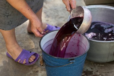 Şarap üreticisi varillere taşınmak için üzüm suyu döker..