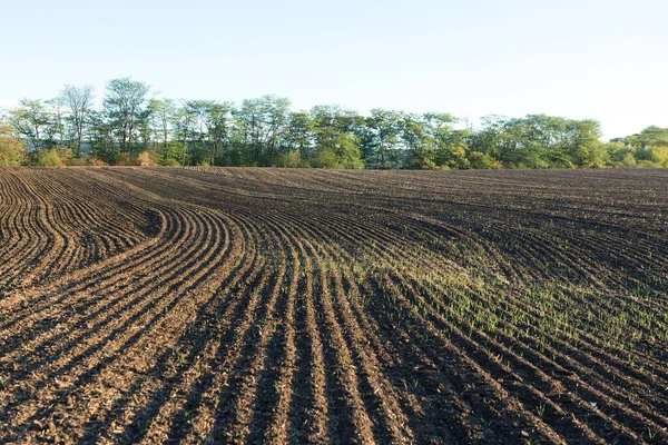 Sunset Plowed Field Brown Soil Beautiful Autumn Landscape — Stock Photo, Image