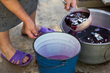Şarap üreticisi varillere taşınmak için üzüm suyu döker..