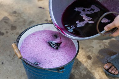 Şarap üreticisi varillere taşınmak için üzüm suyu döker..