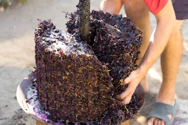 Prensa Vino Con Mosto Rojo Tornillo Helicoidal Producción Vinos Tradicionales — Foto de Stock
