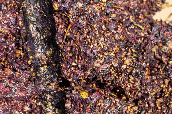 Vinný Mošt Červeným Moštem Šroubovacím Šroubem Výroba Tradičních Italských Vín — Stock fotografie