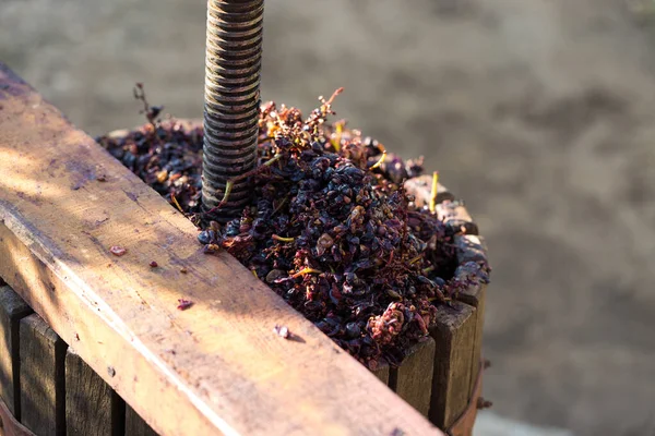 Prensa Vino Con Mosto Rojo Tornillo Helicoidal Producción Vinos Tradicionales — Foto de Stock