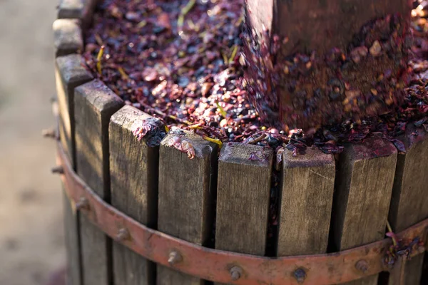 Prensa Vino Con Mosto Rojo Tornillo Helicoidal Producción Vinos Tradicionales —  Fotos de Stock