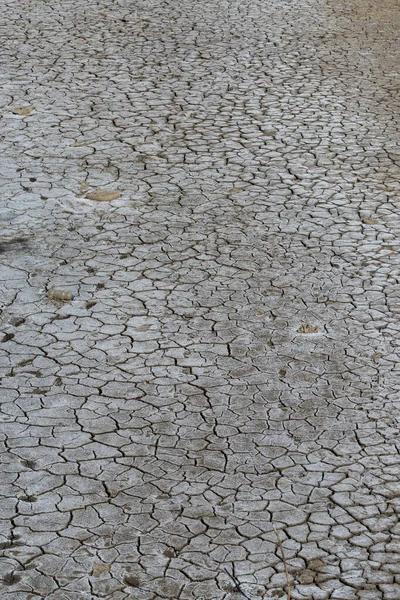 Part Huge Area Dried Land Suffering Drought Cracks — Zdjęcie stockowe